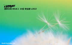 雨林木风win8.1便携零度版64位v2021.12免激活